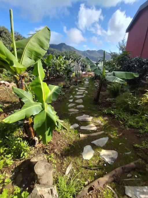 Villa Sea Mountain House à Machico  Extérieur photo