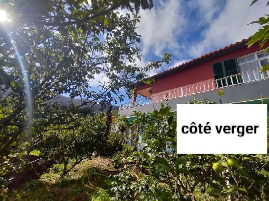 Villa Sea Mountain House à Machico  Extérieur photo