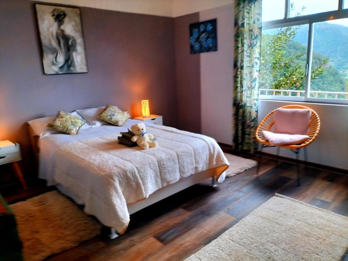 Villa Sea Mountain House à Machico  Extérieur photo