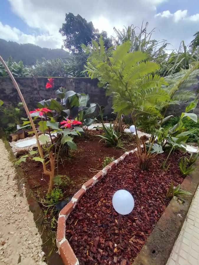 Villa Sea Mountain House à Machico  Extérieur photo