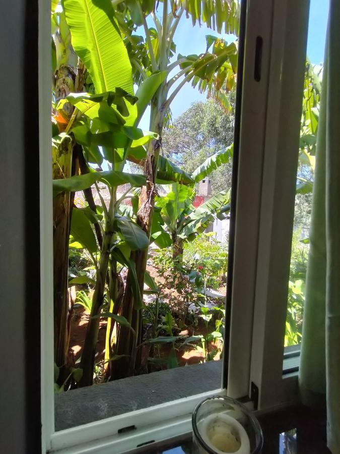 Villa Sea Mountain House à Machico  Extérieur photo